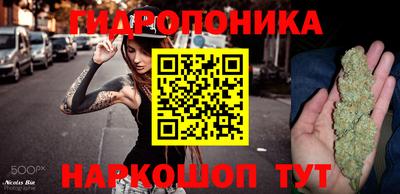 скорость Будённовск