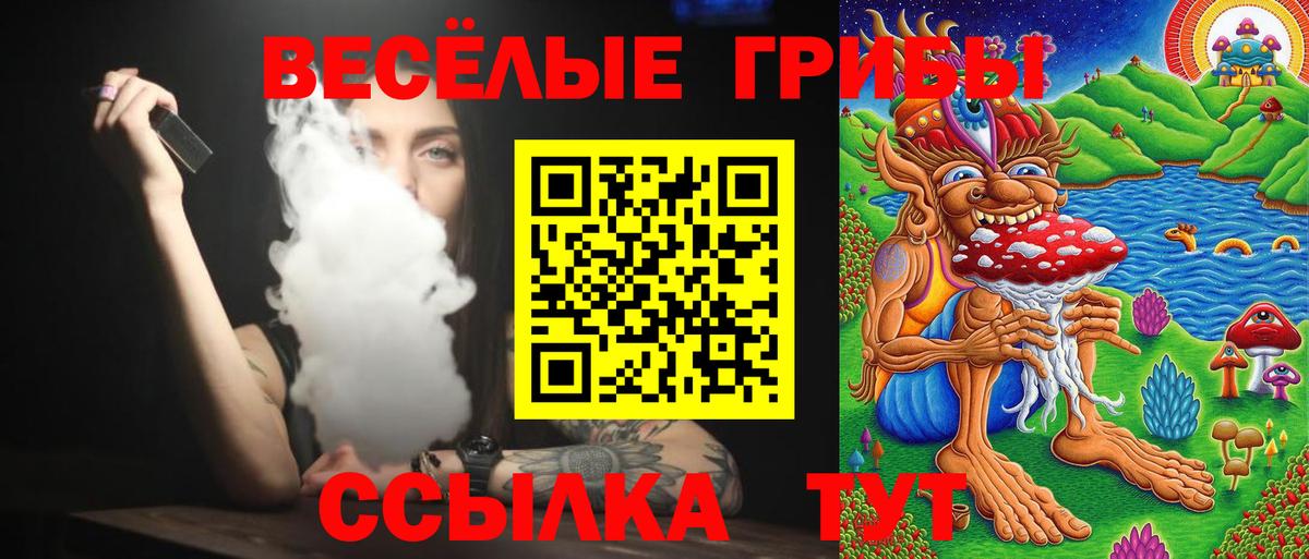 Галлюциногенные грибы Psilocybe Нефтекамск